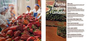 Pagine catalogo prodotti