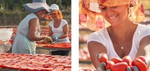 Salatura e spacco pomodori essiccati al sole